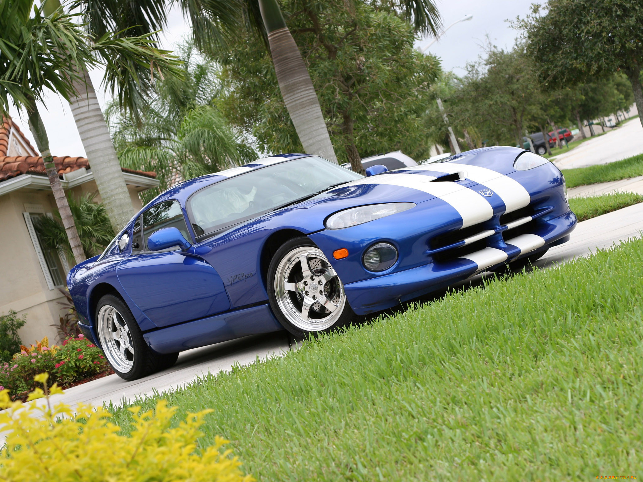 , dodge